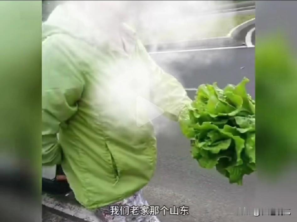 两个退休大妈在海南偷菜被逮个正着，还口口声声说自己是山东人，但是一张口东北那股大