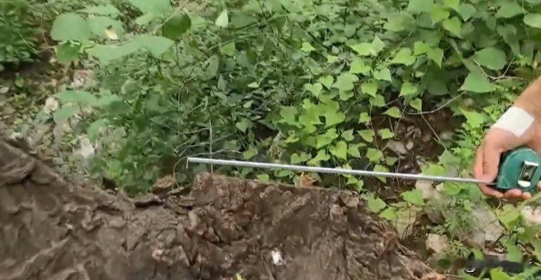 北京顺义北石槽的山林出事了。民警巡山时发现大片树木被拦腰砍断，地上戳着几十个