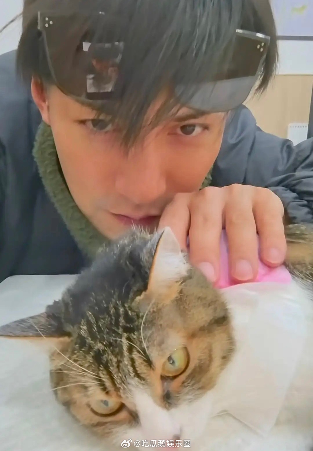 严屹宽救助流浪猫！连续3个月开车带猫打针，家里皮沙发都被抓烂了。他陪着猫咪度过了