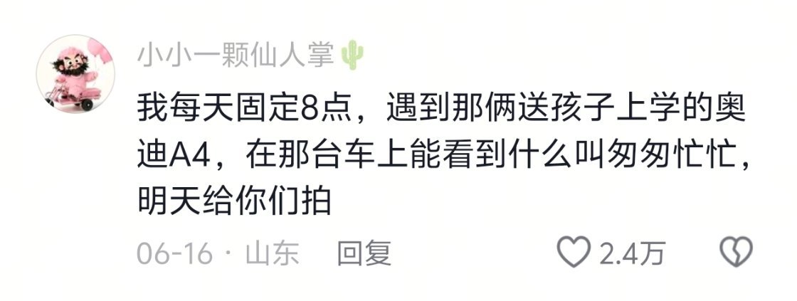 原来大家都有自己的上班搭子