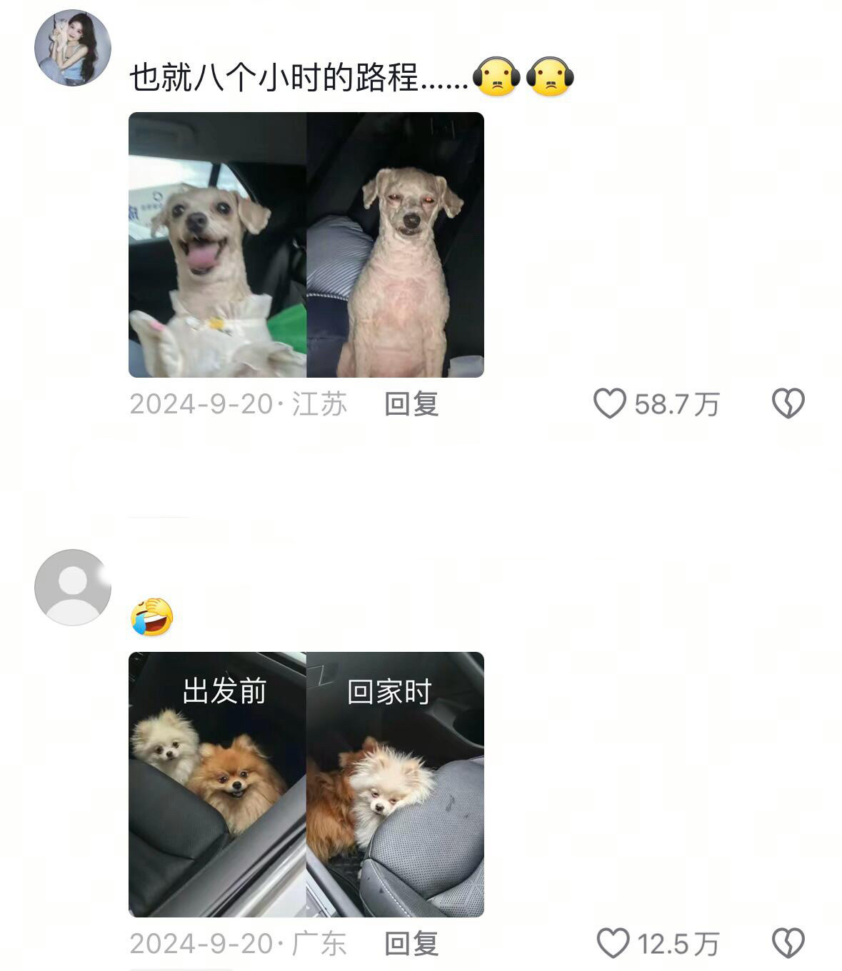 果然什么物种都受不了舟车劳顿​​​