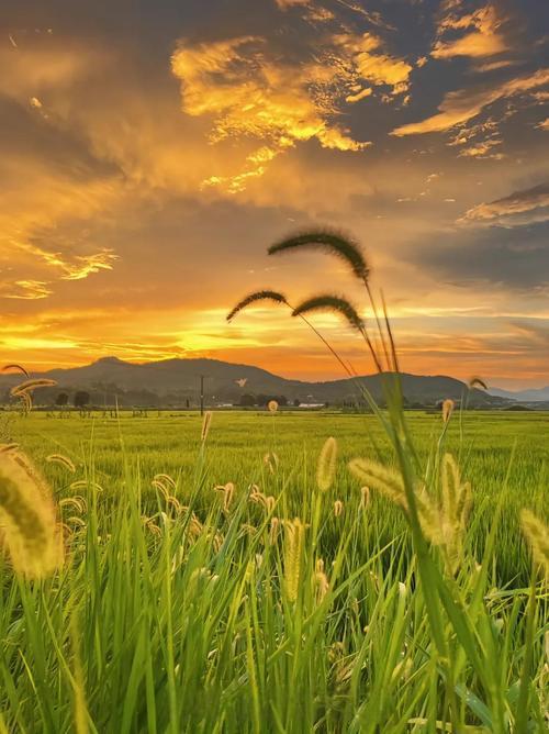 你有没有注意过，身边那些越过越顺的人，家里都有一些不成文的规矩？前几天去一个