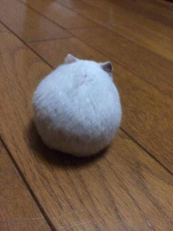 迷你麻薯