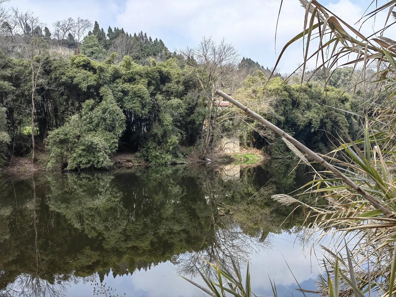 竹林深处有人家，荷塘夜色见青蛙。村庄鸟叫有鸡鸭，………请续尾句。