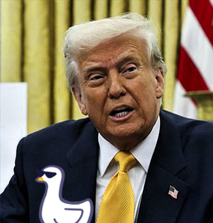 美国这下慌了东大又出手了，这次是大规模减持美国国债，减持金额高达257亿美元