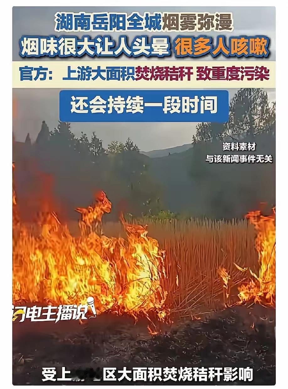 湖南岳阳的天空，最近被浓烟染成了灰色。全城笼罩在焚烧秸秆的烟雾里，不少人被呛得头