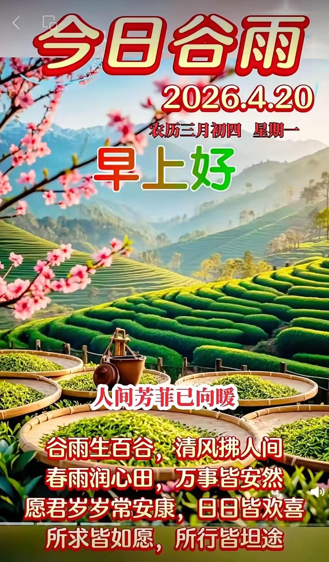 三月四日“谷雨”。愿我们：不求天天都风光，只求日日都健康！[玫瑰]早上好[