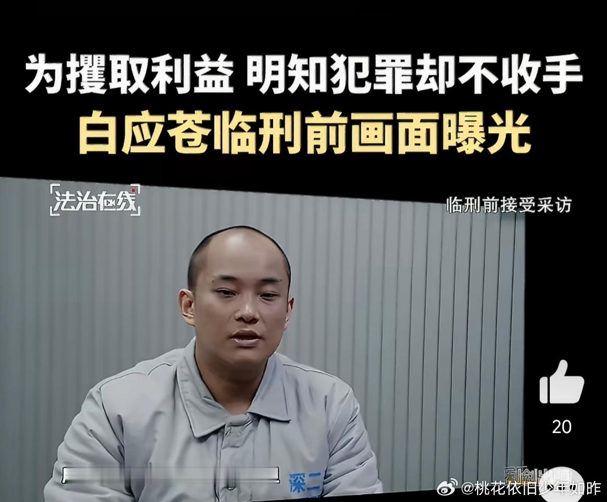 #电诈首犯称不做诈骗就代表无所事事#纪录片《缅北电诈覆灭纪实》披露，缅北白家犯罪集团首要分子白应苍坦