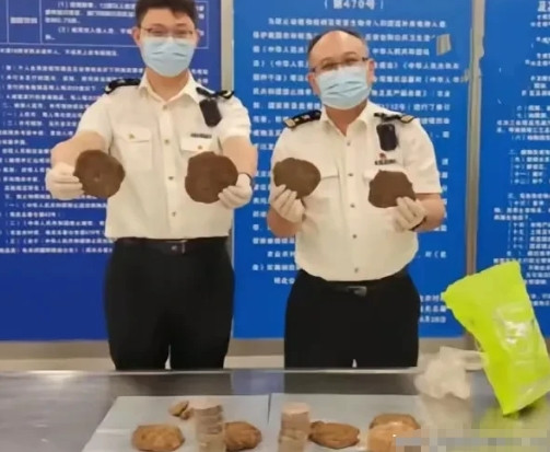 6月26日，长沙黄花机场海关人员在检查一位从印度回来的旅客时，发现两个塑料袋装着
