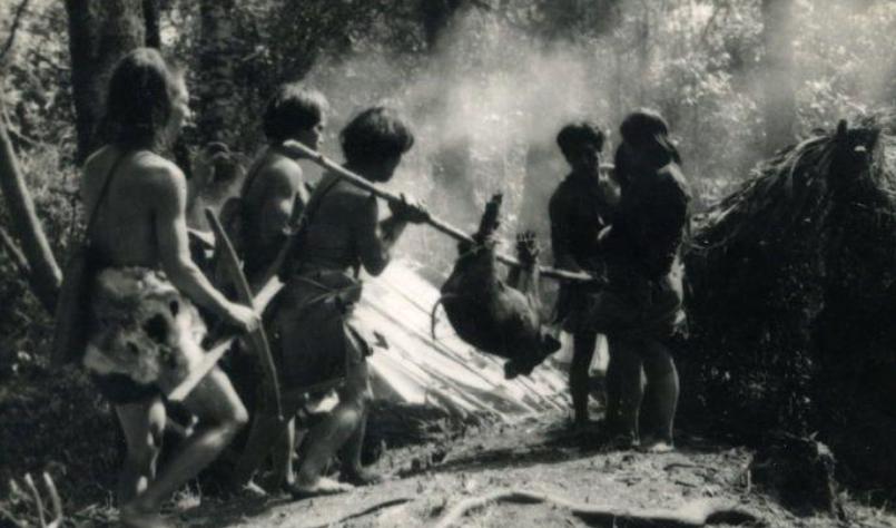 1956年，解放军在云南原始森林深处，发现一群衣不蔽体，蓬头垢面的男男女