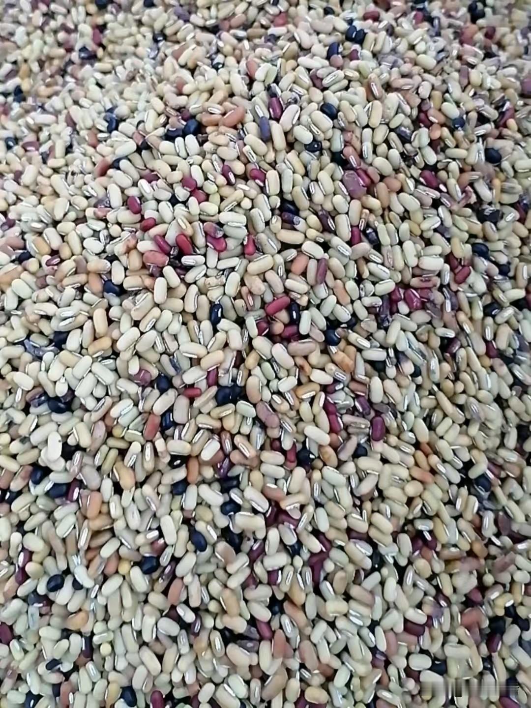 我小舅是十几年前借我妈一万块钱买房的，现在他老家拆迁赔房又赔钱，也不差钱了，但是