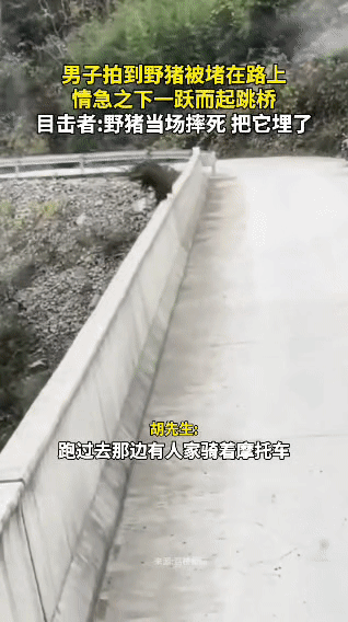 野猪版“极限逃生”，结果跳成“自由落体”男子开大货车路过一座20多米高的桥