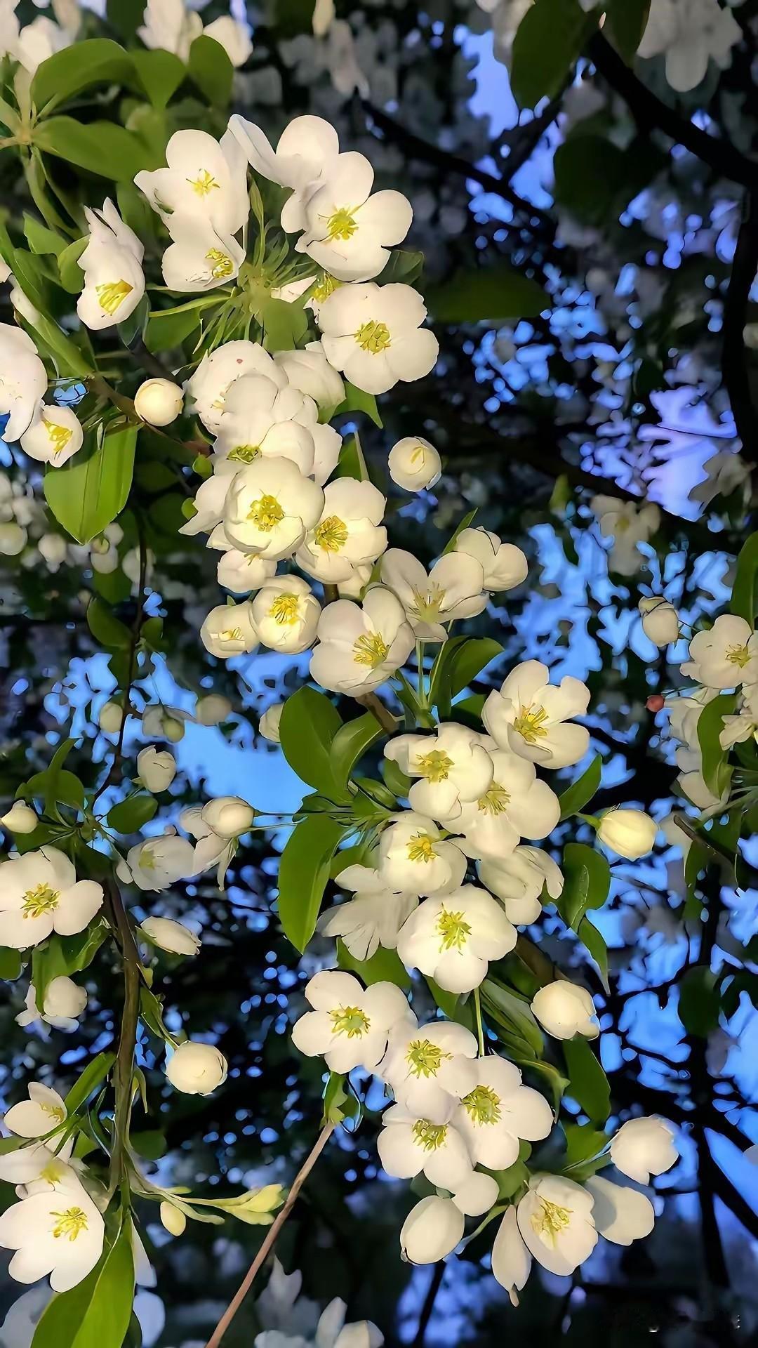 遇景看景，见花赏花，生活并没有深意，幸福和遗憾都藏在日常里。