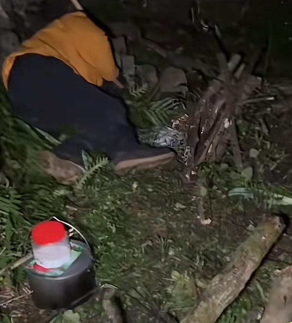 刀疤哥成功返祖，山下睡不着，进山呼呼大睡。决赛第一天，刀疤哥以天为被以地为床，