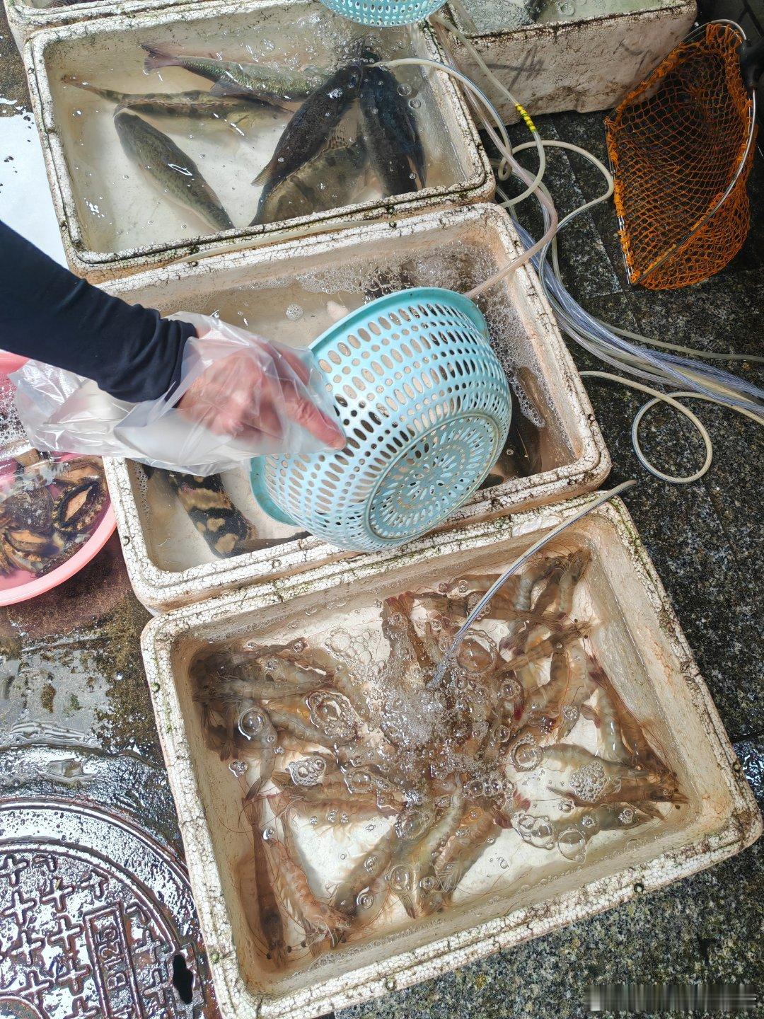 买点海鲜小白鲳16，剥皮鱼26，感觉不贵啊！