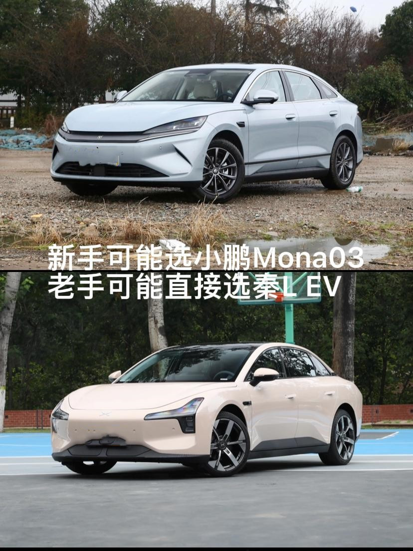 新手才可能Mona03老手直接秦LEV