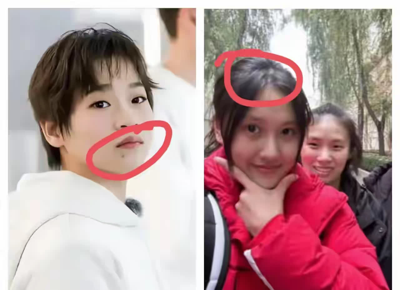 全红婵上次比赛3次拿银牌，我不慌张；她因旧伤退出跳水冠军赛，我也不慌；
