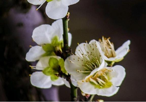 唐朝非著名诗人的一首诗，仅28字，却成意境高远的佳作，千古流传唐朝诗坛热闹非