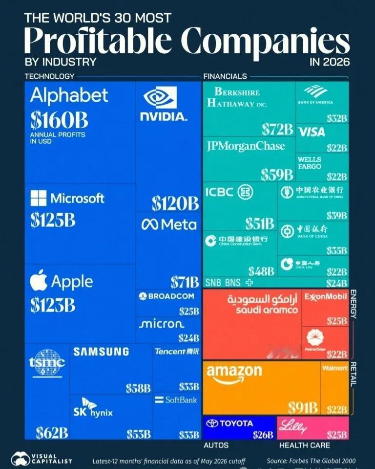 全球最赚钱的30家公司排行榜。2026年全球最盈利公司TOP3：Alphab