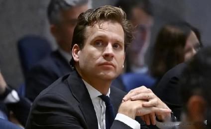 11月19日，荷兰公开对中方服软，声明中有一句话特别有意思！当天，荷兰经济事