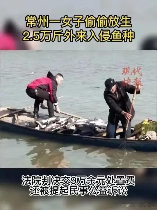 放生”变灾难！女子25000斤鲇鱼倒入湖中，反赔5.8万！2020年12月，江苏