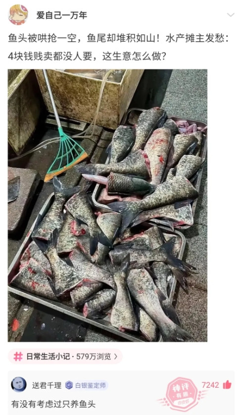 精神病院:谁让他出院的