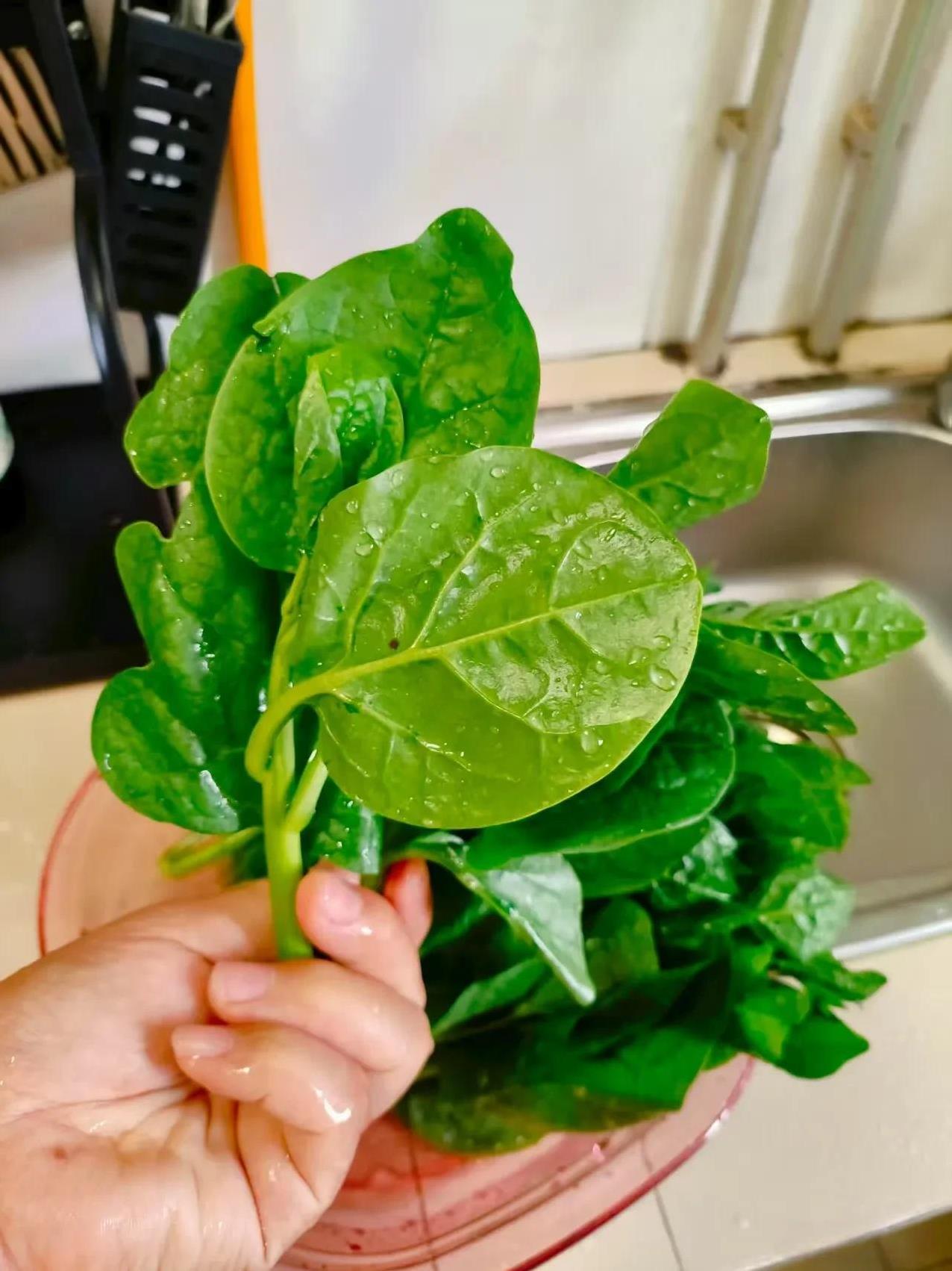 昨天公公打电话给我，说小姑子的那帮孩子跑进我的洗衣机去玩，又蹦蹦跳跳，又捉迷藏，