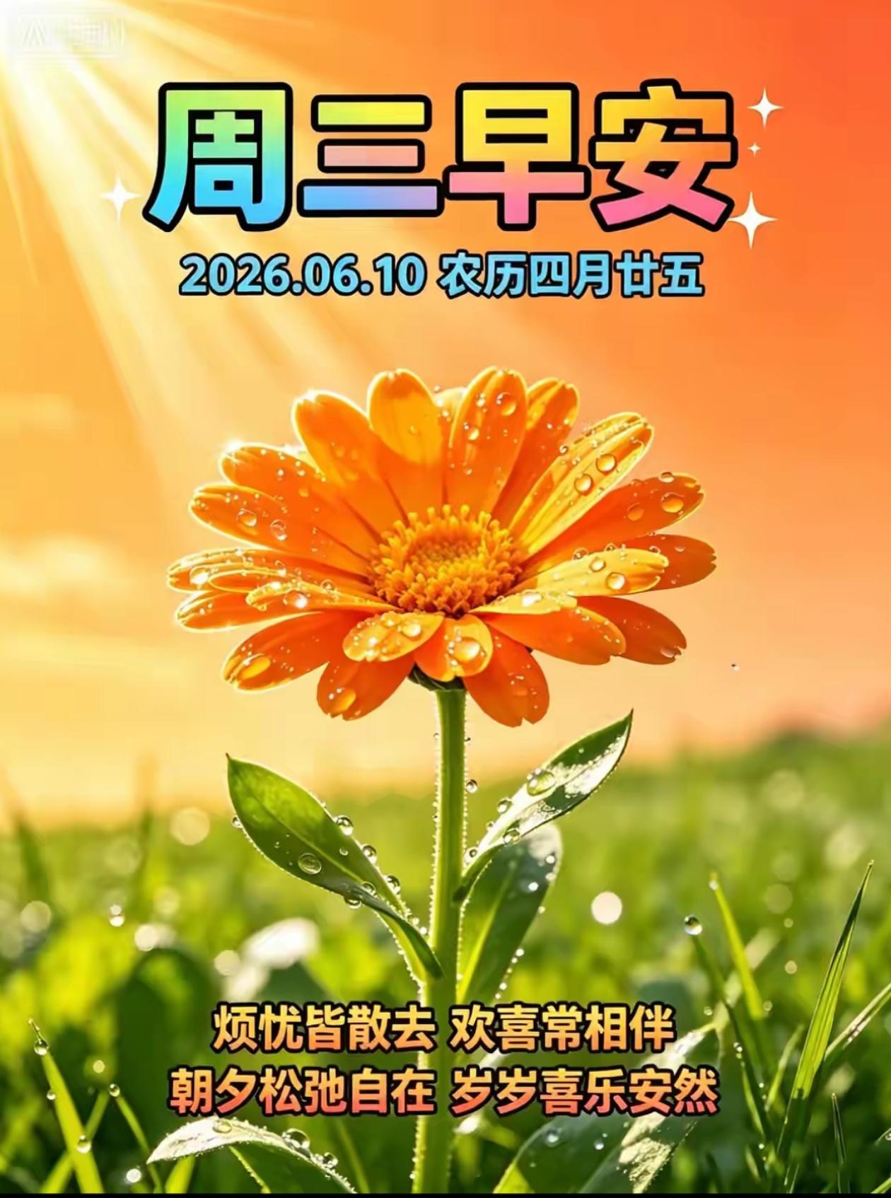🌺2026./6.10.身舒心顺.朝夕呈祥🌺🌿🌷夏日美景，皆收眼底，