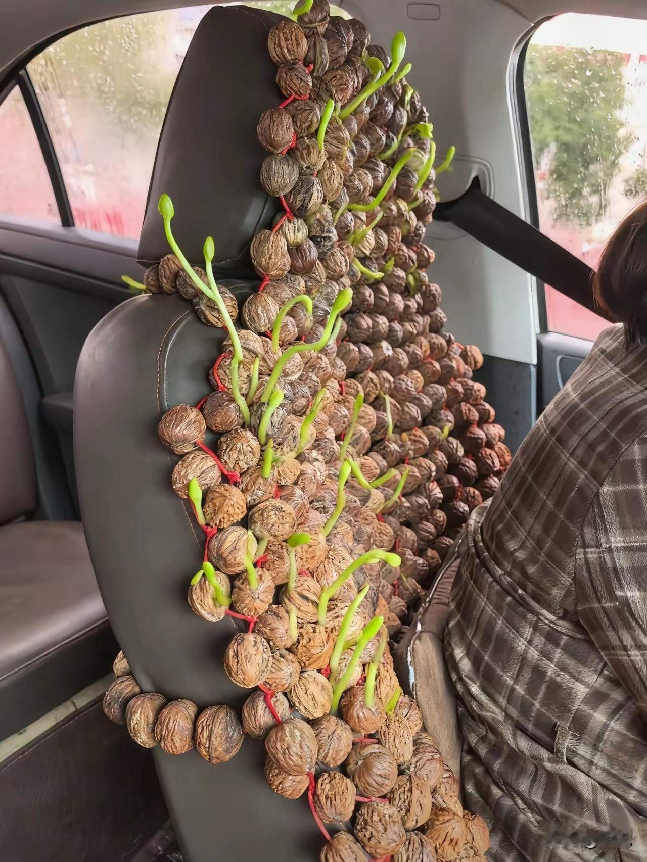 硬核玩家啊，没想到核桃还能这么玩！