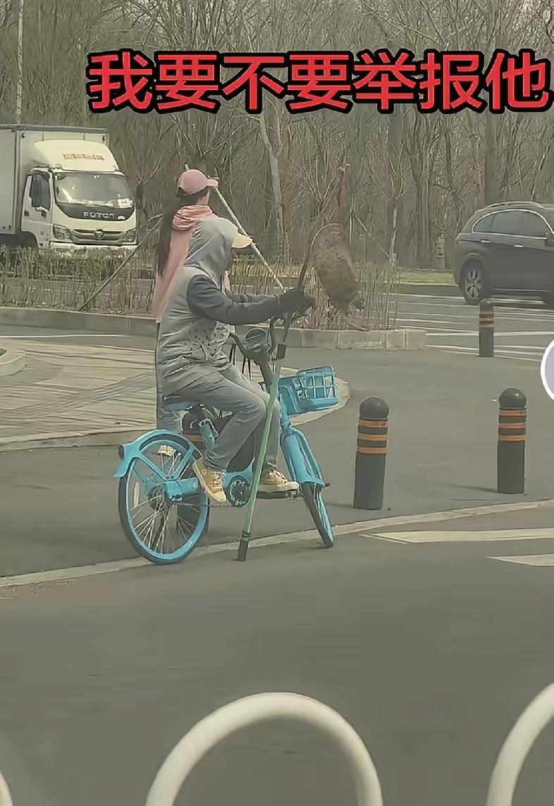 事情反常必有妖应该举报就算他们不是么反动组织也该由公安解释这种大家认为可疑