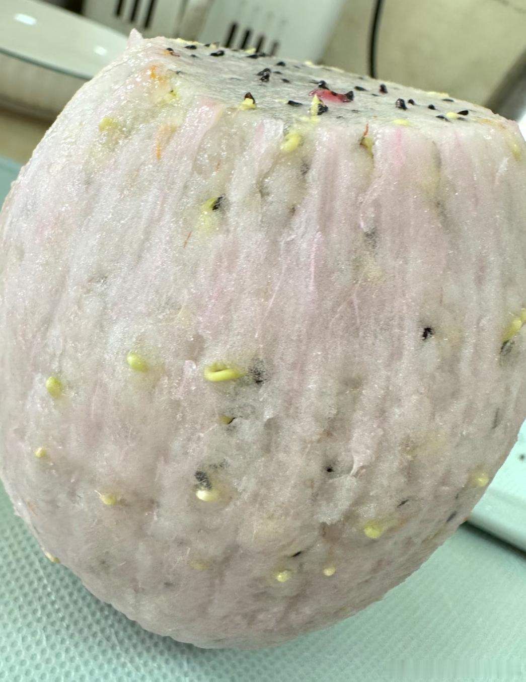 火龙果放冰箱一个月发芽了