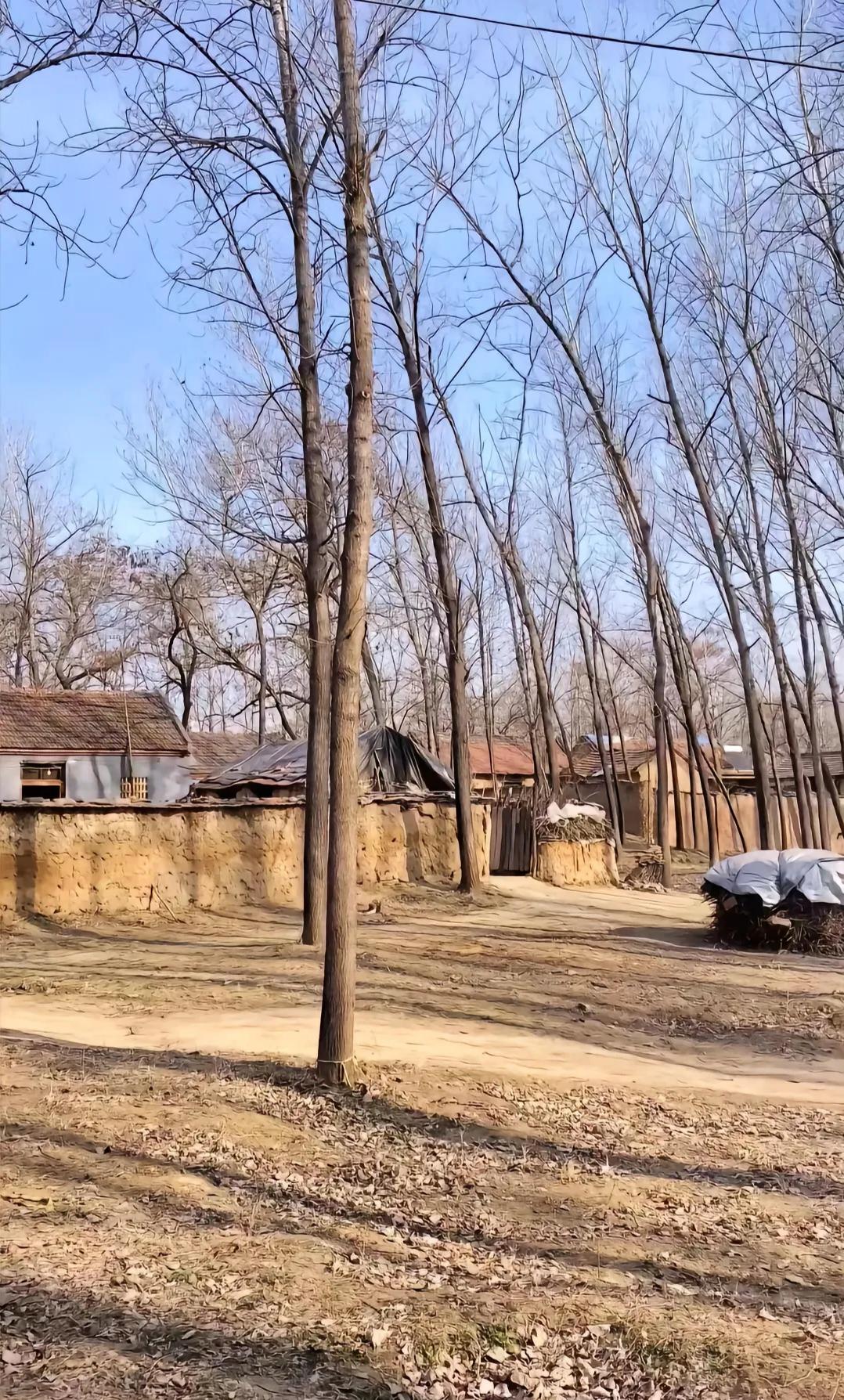 这就是现在农村观象，一一