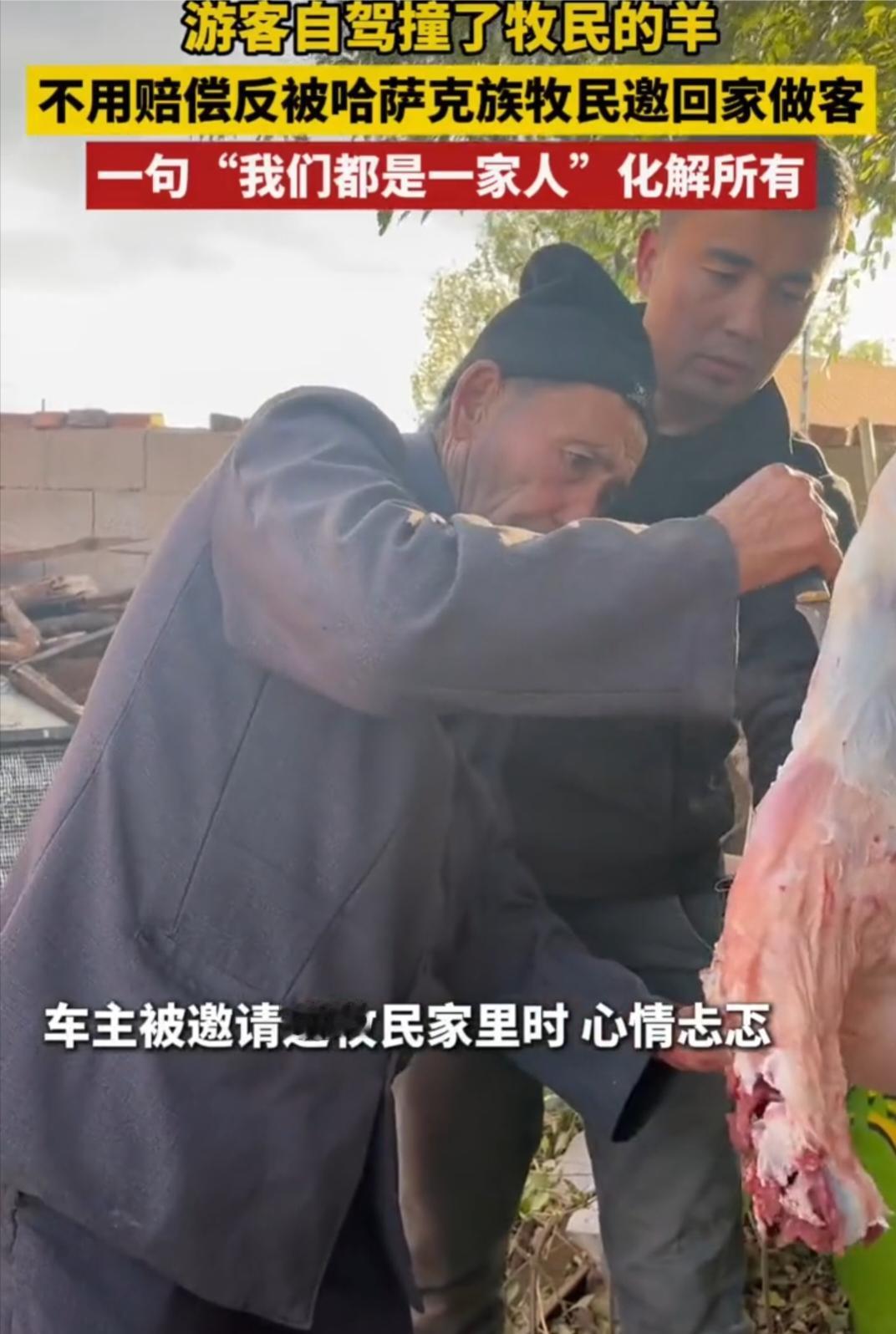 女子在新疆自驾游途径牧区感觉撞到了什么，下车一看是牧民的羊，这时牧民也看到了，一