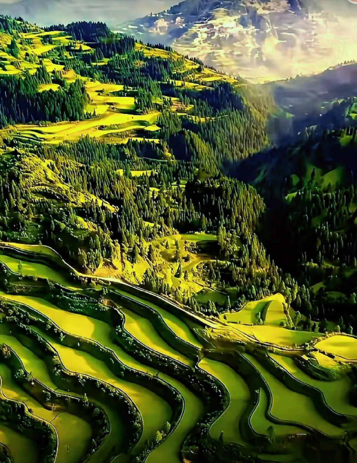 从大小便不能自理的那一刻起，养老就结束了，剩下的日子不过是渡劫。你渡的是残