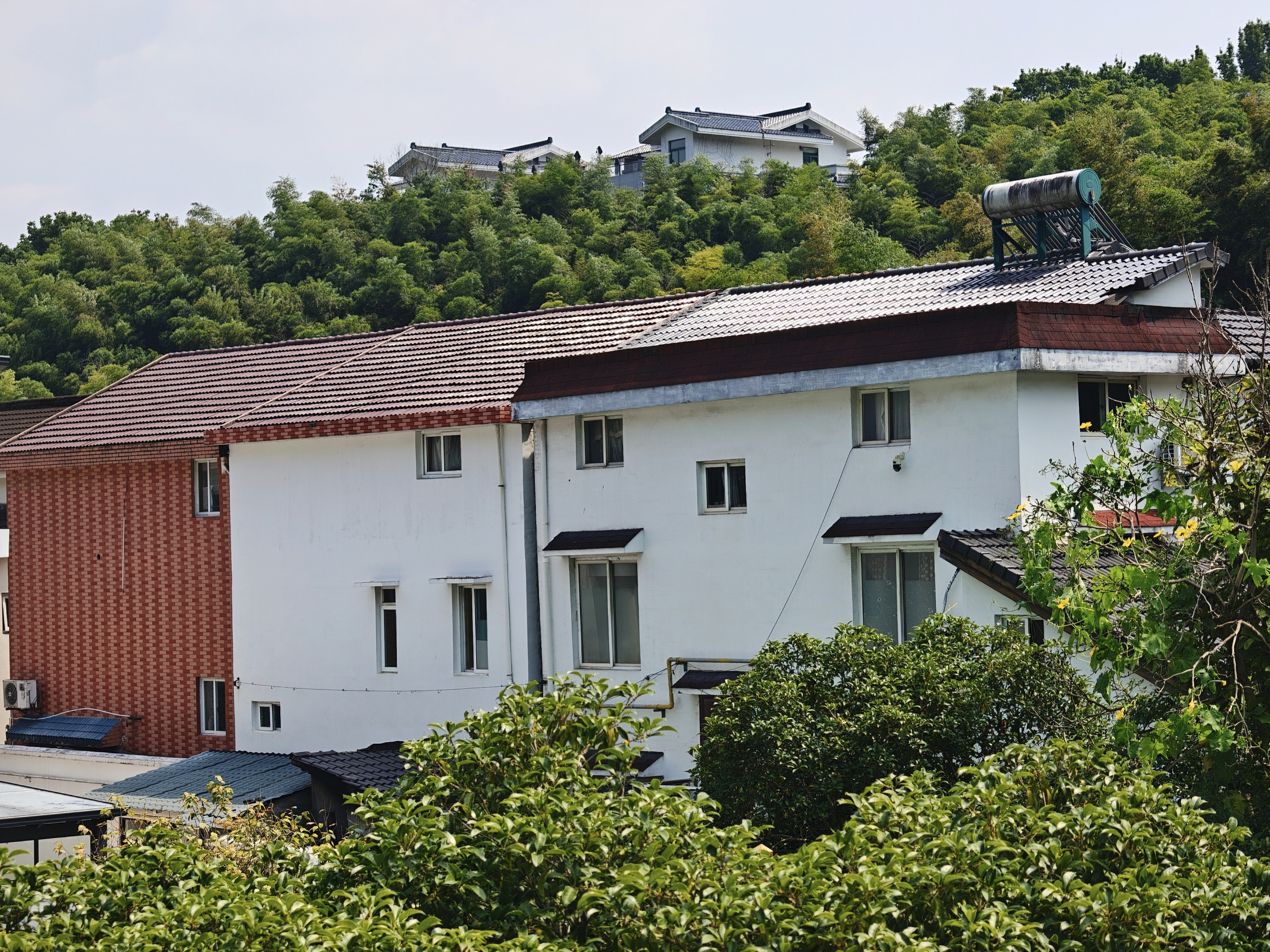 看了几套九溪这边农村里的自建房，这几年民宿生意一般，这边的房子租金也下来了一些，