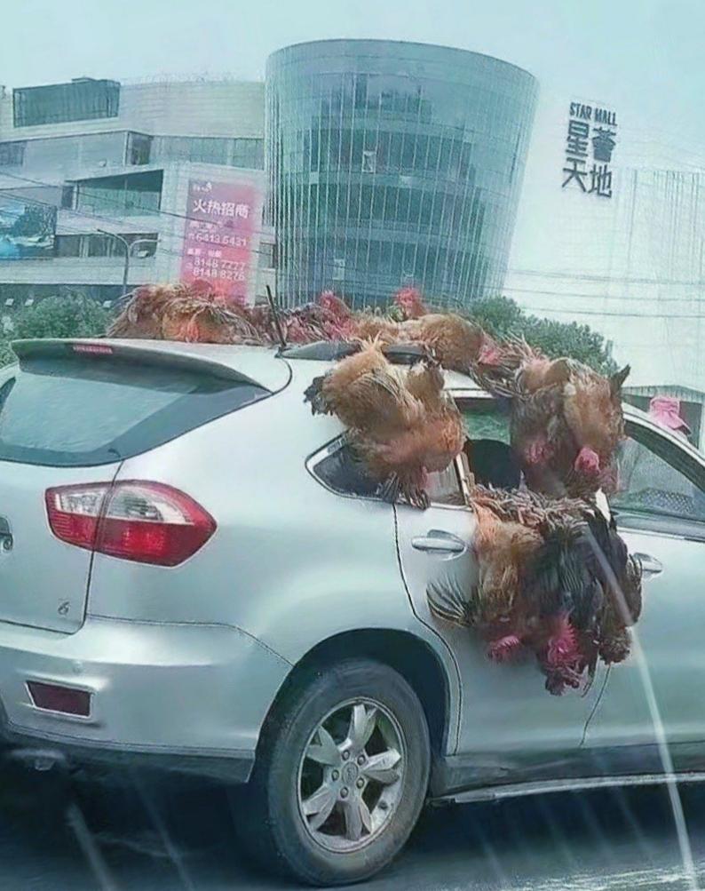 我被吓尿了！全国各地高速公路年后返程高峰路上所见，真是不知者无畏！高就两个字