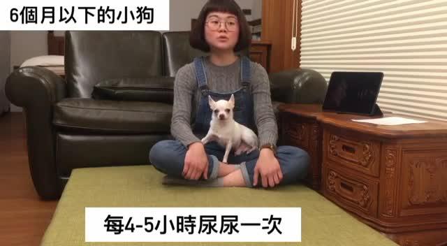 5277668144524625326.jpeg?id=0