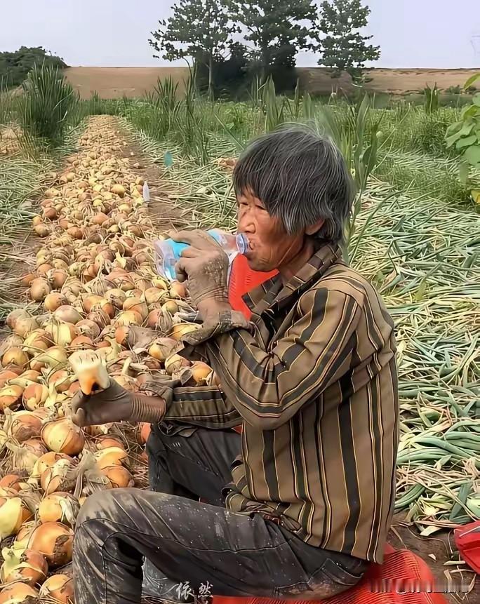 农忙时期的大姐，情为勤劳的农民点赞[作揖]