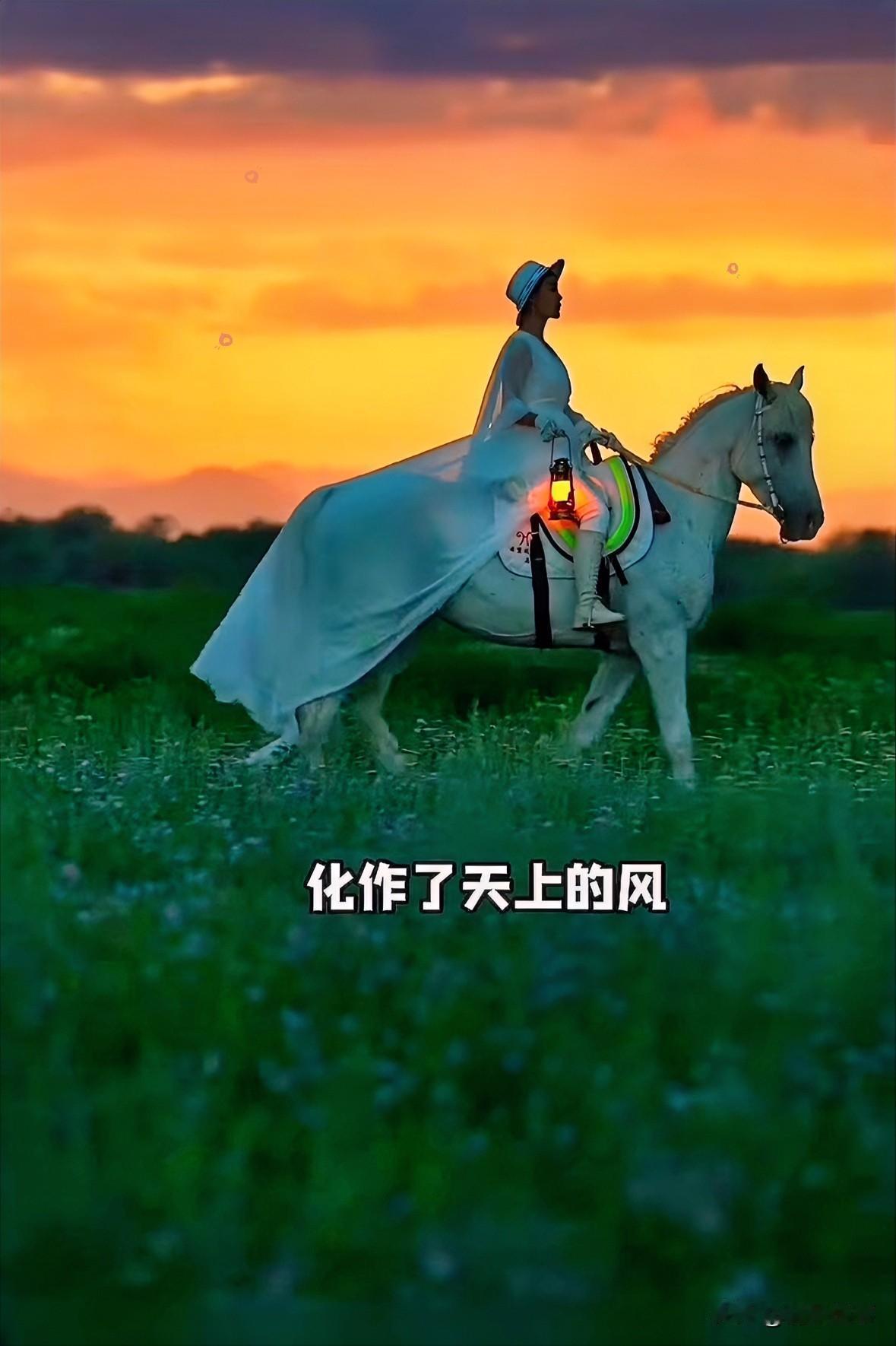 贺娇龙这一走，我也算看明白了哪有什么岁月静好全是咬碎牙往肚子里咽。大家只