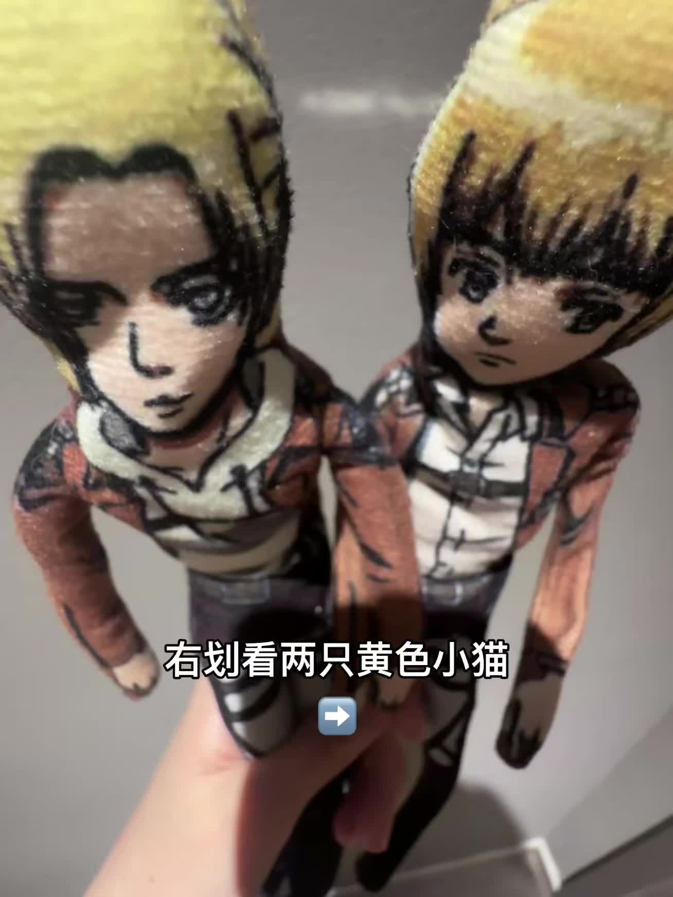两只黄色小茂密 尼