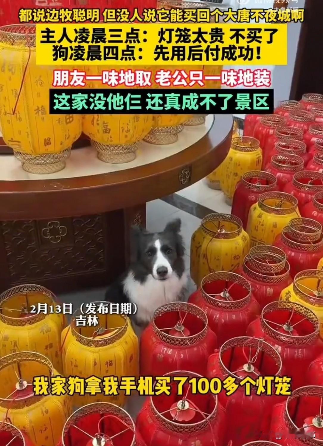 吉林，一女子本打算买灯笼，最后嫌贵没买。没想到下班回家，家里挂满了灯笼。她以为是