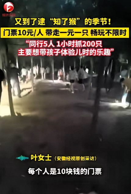 “简直就是捡钱啊！”2025年6月，江苏徐州，一老板为了赚钱，开放自家“知了猴”