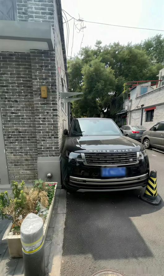 驾龄没有十年以上不敢这么停车吧？绝绝子！[滑稽笑]​​​
