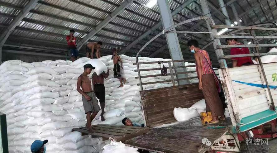 缅甸大米正在大量进入中国市场！由于中国市场需求增加，2025年的缅甸大米出口额