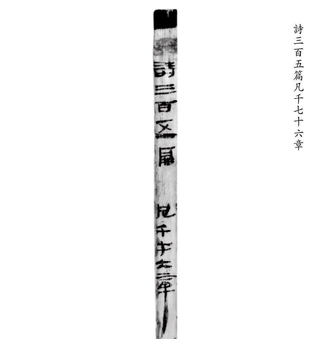 他们挖出来的孔子，一米八二。方脸，浓眉，看着就不像个善茬，倒像个能一拳干翻三个