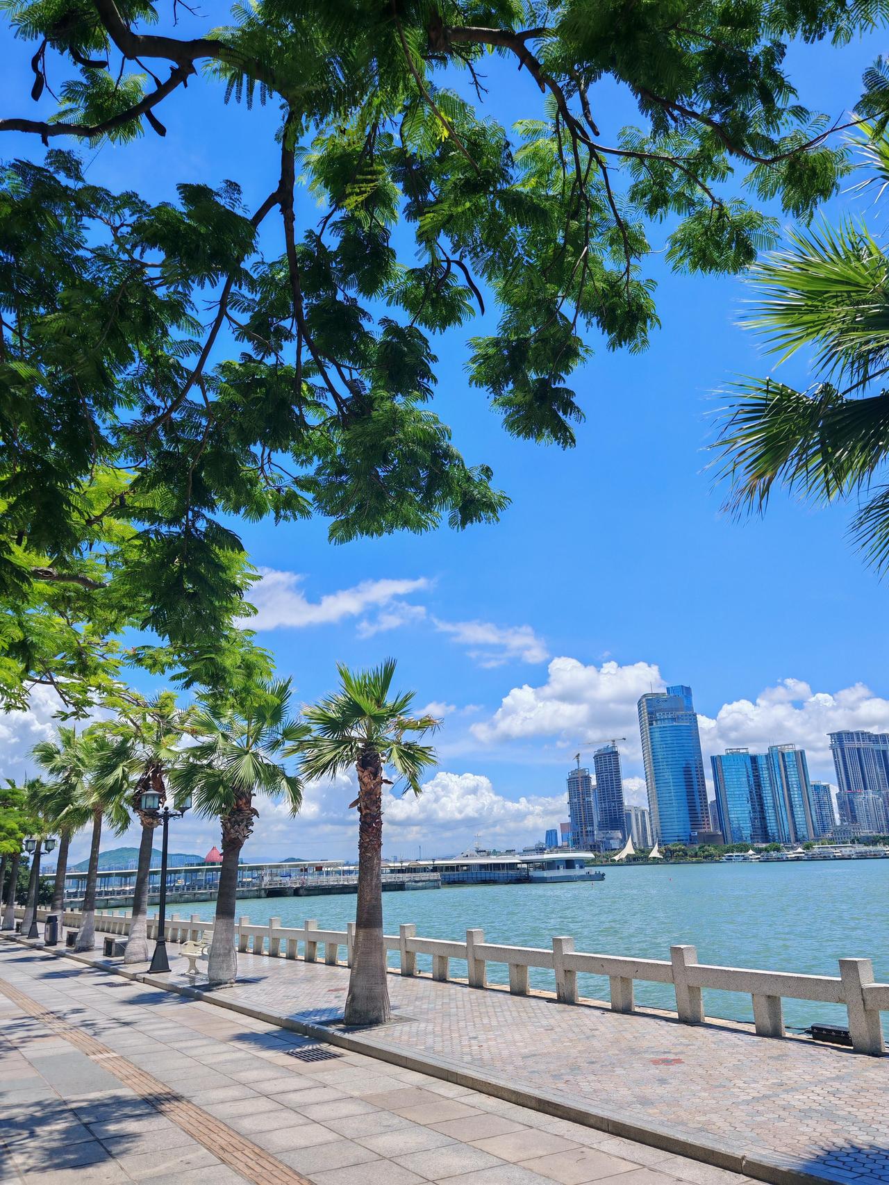 第三次来厦门，彻底被这份惬意拿捏了！这已经是我第三次来厦门，每次逛完都忍不