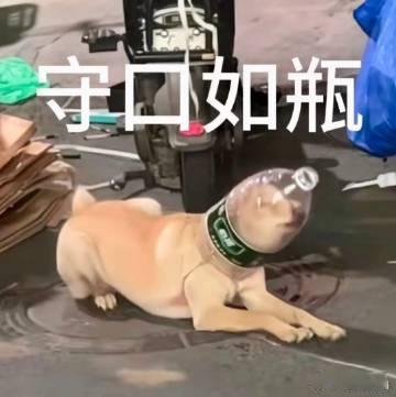 但凡女儿有个幼儿园文凭孩子太天真，大人随口编两句就全信，这单纯样子真讨喜。​
