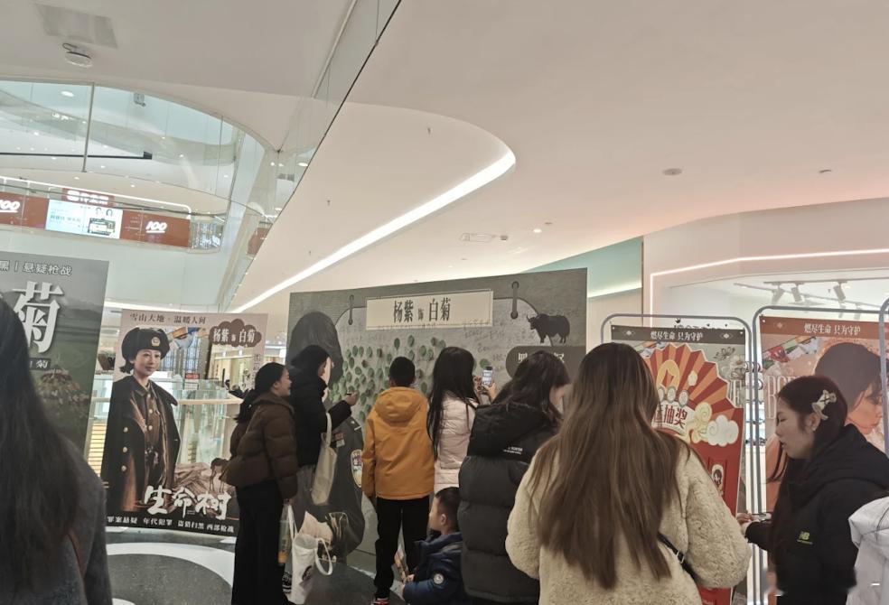 杨紫粉丝剧宣好给力，你们真的好爱她😂