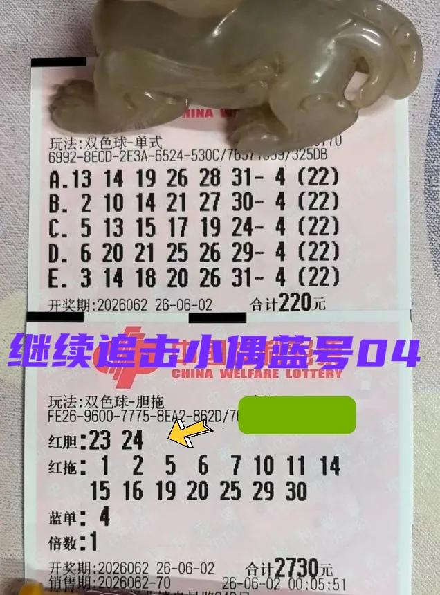 大佬来啦！本期亮相也非常早，这一期继续追击小号蓝码04，只不过双胆大复式有点与众