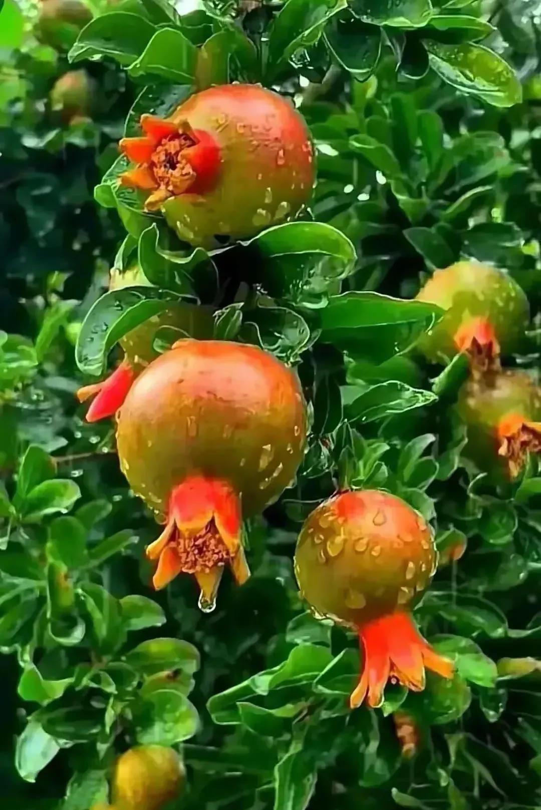 荒唐的阵雨早晨驱车前往工业园出看望朋友，临行前，天气晴好，蓝天白云相送，柔风